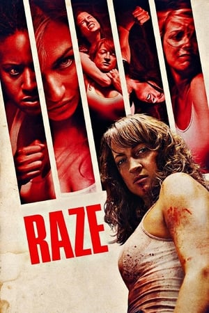 Poster Raze 2013
