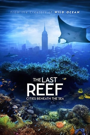 Image 最后的珊瑚礁：海底世界