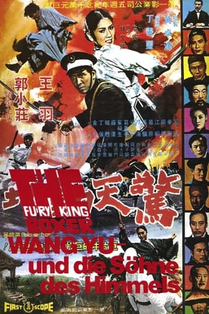 Poster 驚天動地 1972