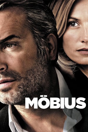 Poster Möbius 2013
