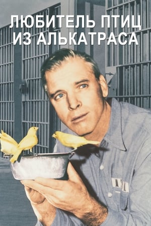 Poster Любитель птиц из Алькатраса 1962