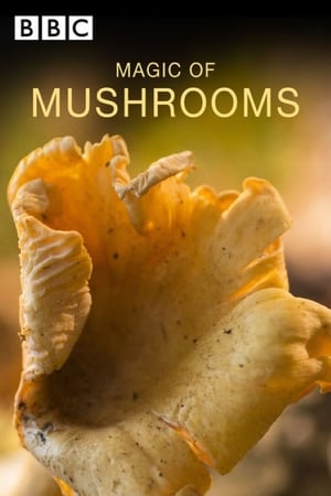 Poster The Magic of Mushrooms 2014