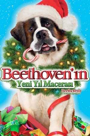 Poster Beethoven'ın Yeni Yıl Macerası 2011