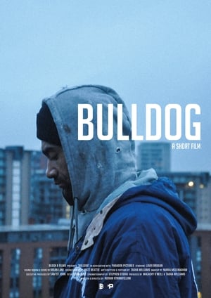 Poster Bulldog 2020
