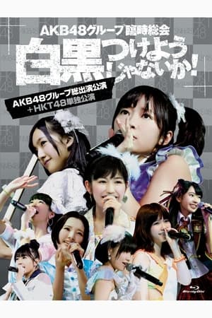 Poster AKB48グループ臨時総会「HKT48単独公演」 2013
