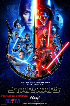 Poster Star Wars : L'incroyable Légende 2015
