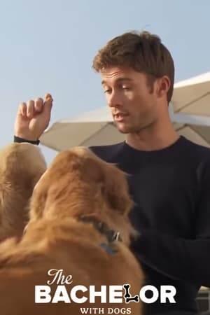 Poster The Bachelor with Dogs and Scott Eastwood 2015