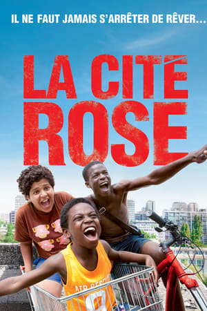 Poster La cité rose 2013