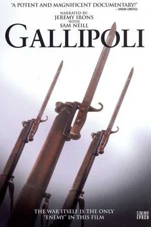 Poster Gallipoli 2005