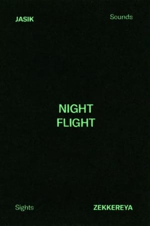 Image NIGHT FLIGHT