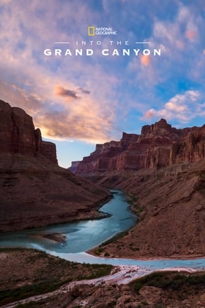 Poster Into the Grand Canyon 2019