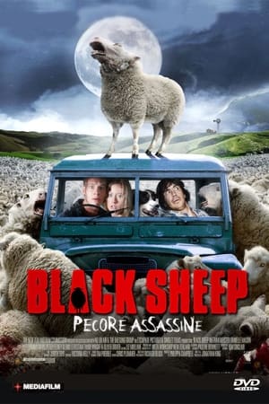 Image Black Sheep - Pecore assassine