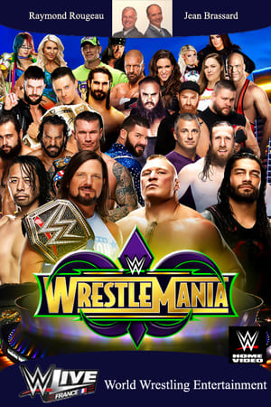 Poster WWE WrestleMania 34 2018