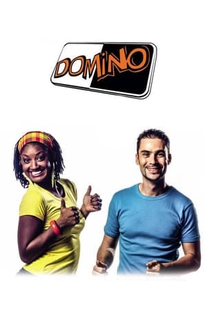Poster Domino 2015