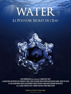 Poster Water, Le Pouvoir Secret de l'Eau 2006
