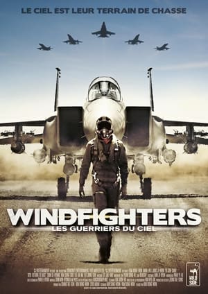 Poster Windfighters : Les Guerriers du ciel 2012