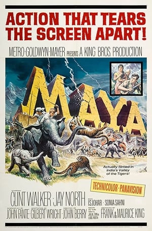 Poster Maya 1966