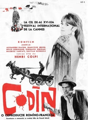 Poster Codine 1963