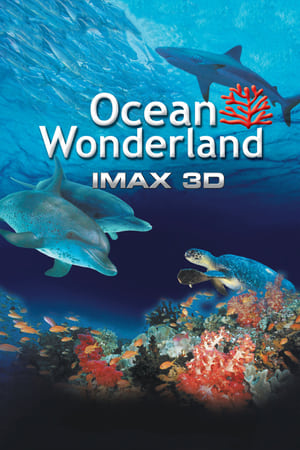 Image IMAX - 海洋仙境3D