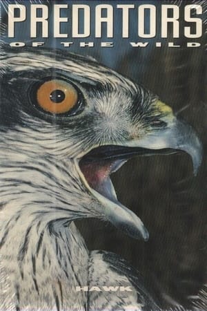Poster Predators of the Wild: Hawk 1993