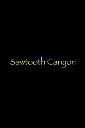 Image Sawtooth Canyon