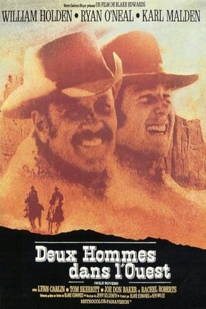 Poster Deux hommes dans l'Ouest 1971