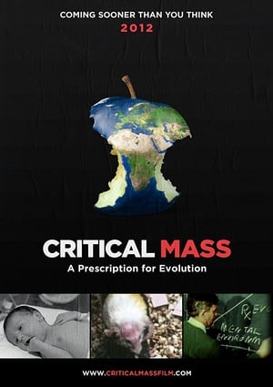 Poster Critical Mass 2013