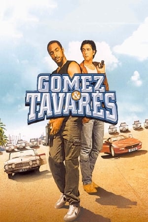 Poster Gomez & Tavarès 2003