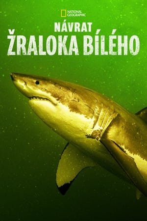 Poster Return of the White Shark 2023