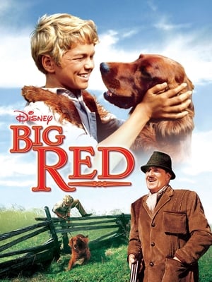 Poster Big Red 1962