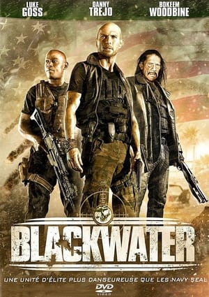 Poster Blackwater 2015