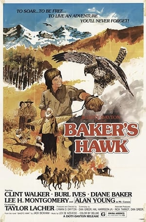 Poster Baker's Hawk 1976