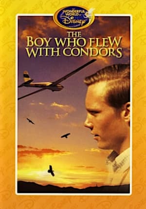 Poster The Boy Who Flew with Condors 1967