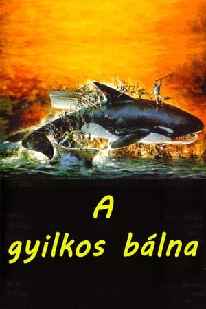 Poster A gyilkos bálna 1977