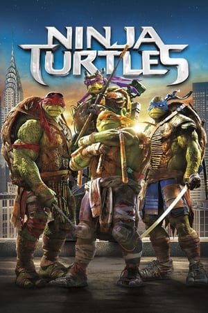 Poster Ninja Turtles 2014