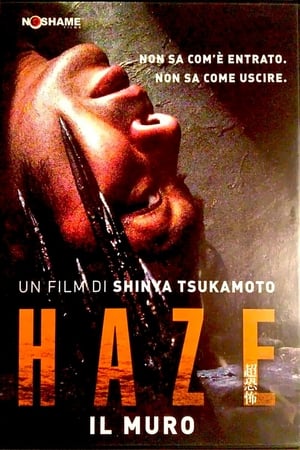 Poster Haze - Il muro 2005