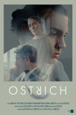 Poster Ostrich 