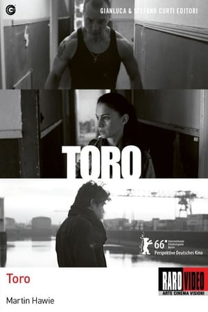 Poster Toro 2015