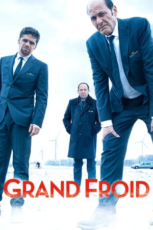 Poster Grand Froid 2017