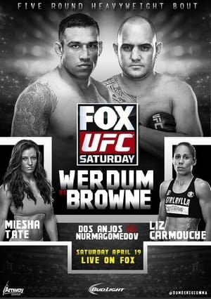 Poster UFC on Fox 11: Werdum vs. Browne 2014