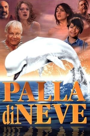 Poster Palla di neve 1995