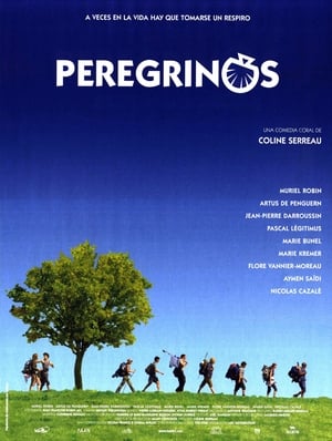 Poster Peregrinos 2005