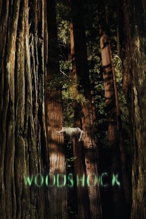 Poster Шок в гората 2017