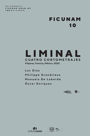 Poster Liminal 2020