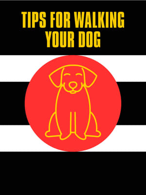Poster Tips For Walking Your Dog 2023
