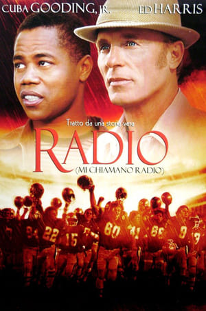Poster Mi chiamano Radio 2003