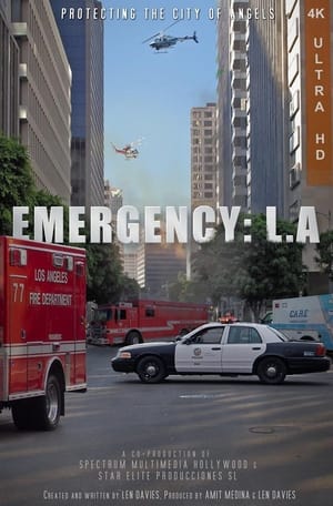 Poster Emergency: LA 