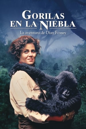 Poster Gorilas en la niebla 1988