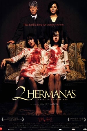 Poster Dos hermanas 2003
