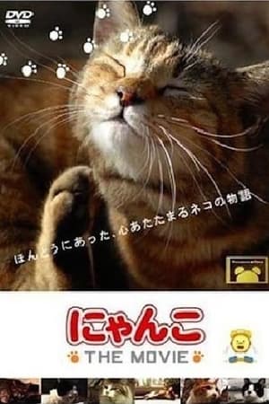 Image Cat Story The Movie 1